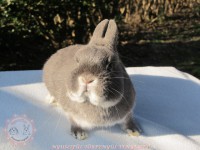 /album/szines-torpe/img-6293-jpg/