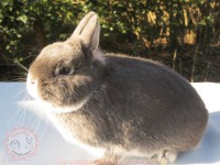 /album/szines-torpe/img-6294-jpg/