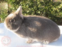 /album/szines-torpe/img-6296-jpg/