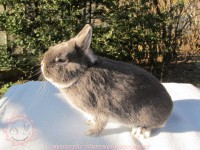 /album/szines-torpe/img-6302-jpg/