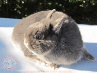 /album/szines-torpe/img-6307-jpg/