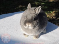 /album/szines-torpe/img-6315-jpg/