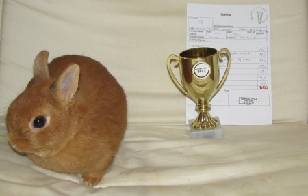 Mimi és nyereménye